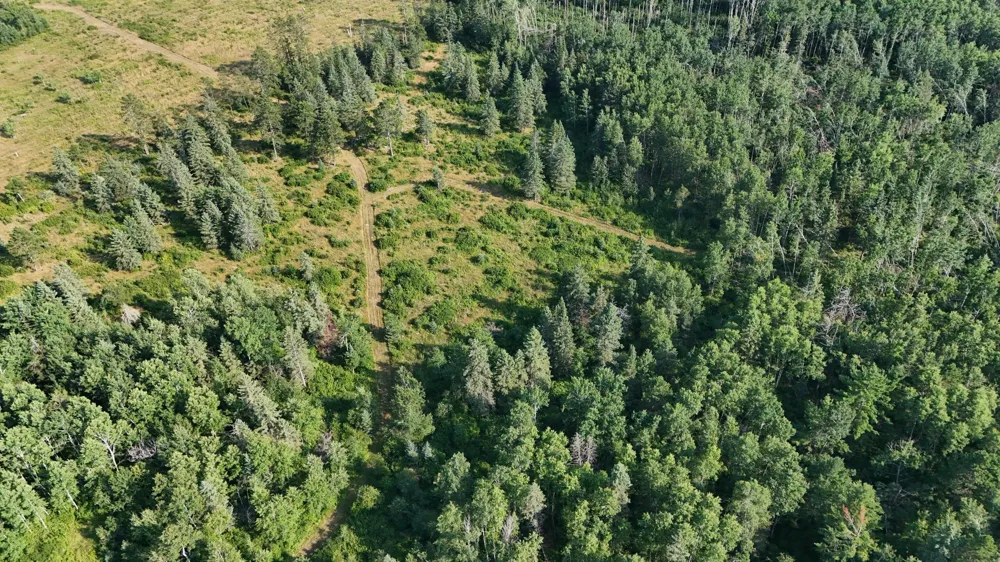 TBD Fredenburg Rd SW Solway, MN 56678