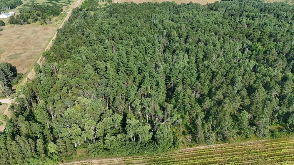 TBD Fredenburg Rd SW Solway, MN 56678