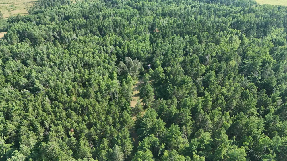 TBD Fredenburg Rd SW Solway, MN 56678