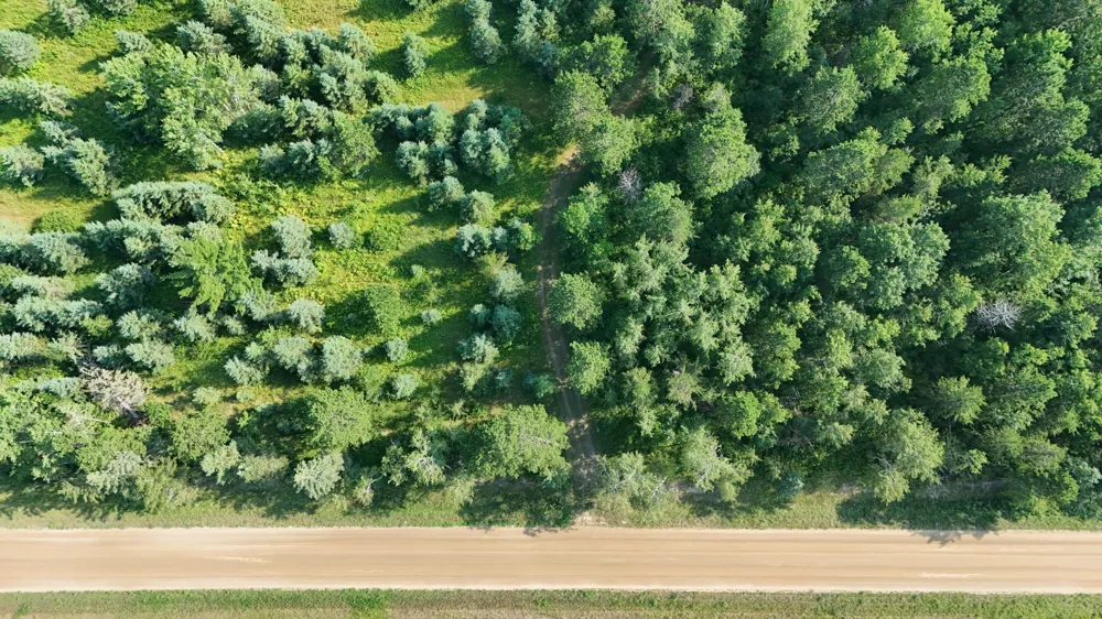 TBD Fredenburg Rd SW Solway, MN 56678