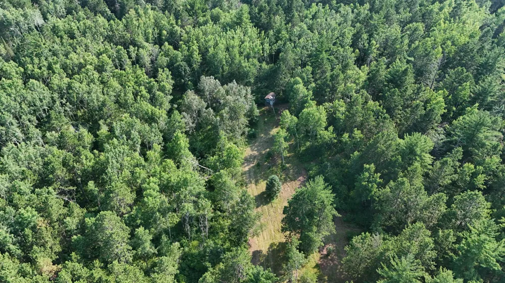 TBD Fredenburg Rd SW Solway, MN 56678
