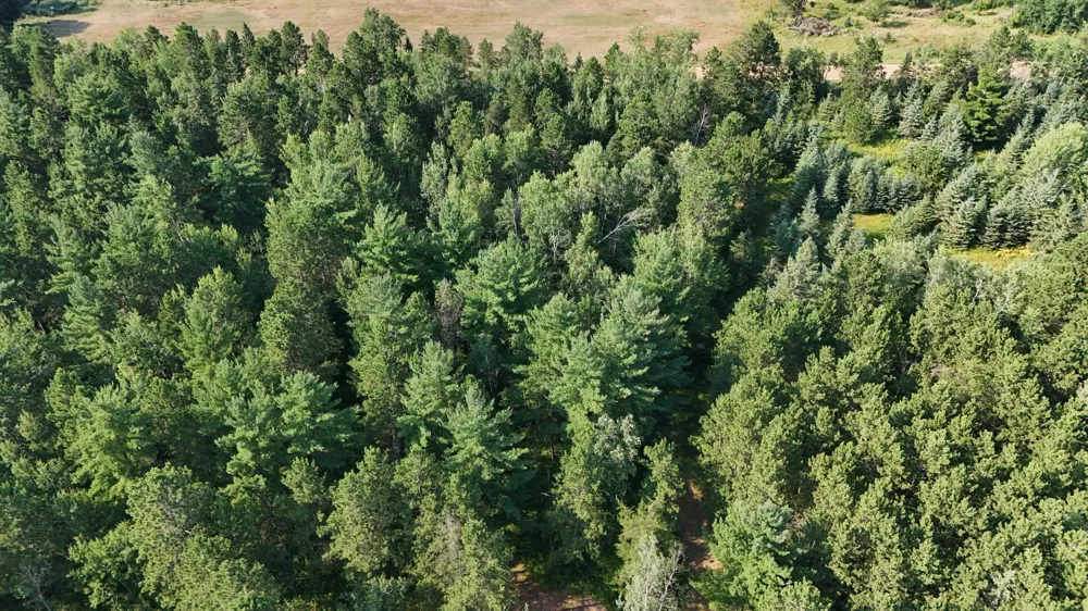 TBD Fredenburg Rd SW Solway, MN 56678