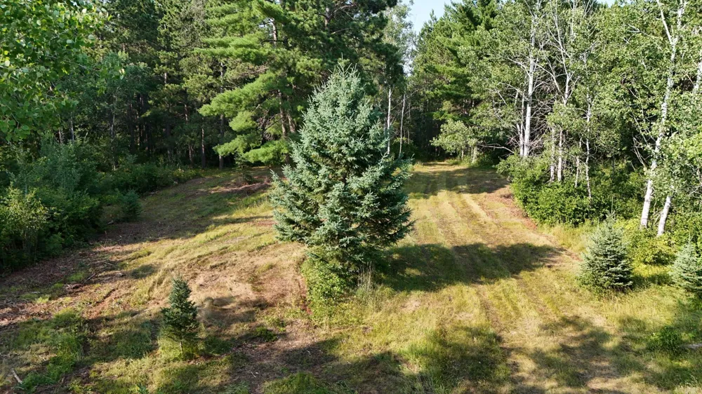 TBD Fredenburg Rd SW Solway, MN 56678