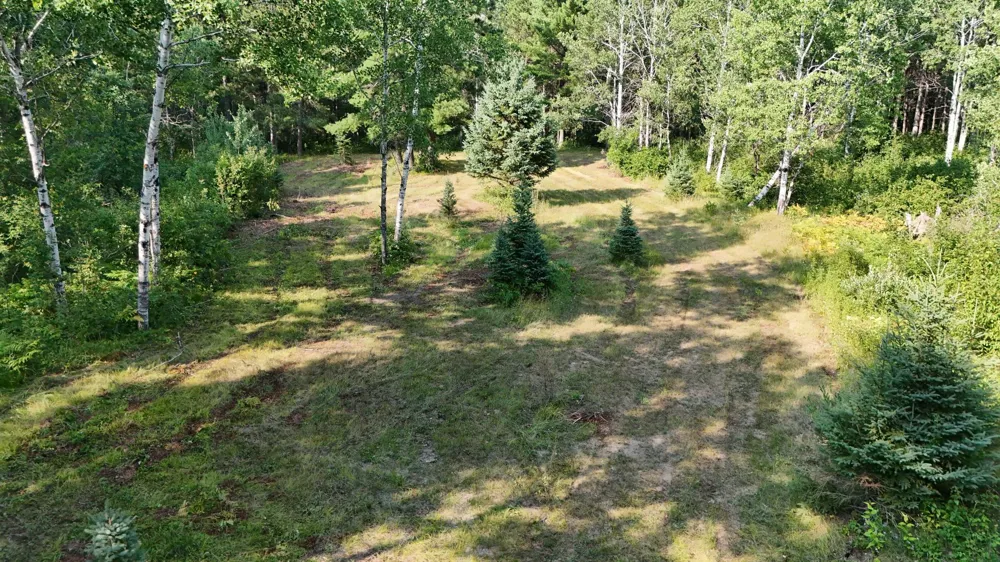 TBD Fredenburg Rd SW Solway, MN 56678