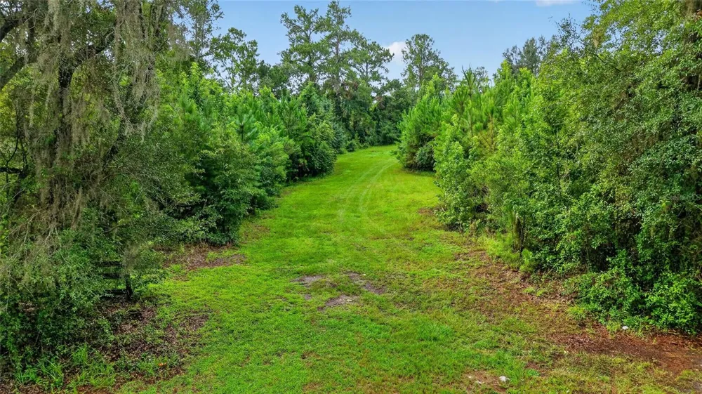 15958 W HWY 318 Williston, FL 32696