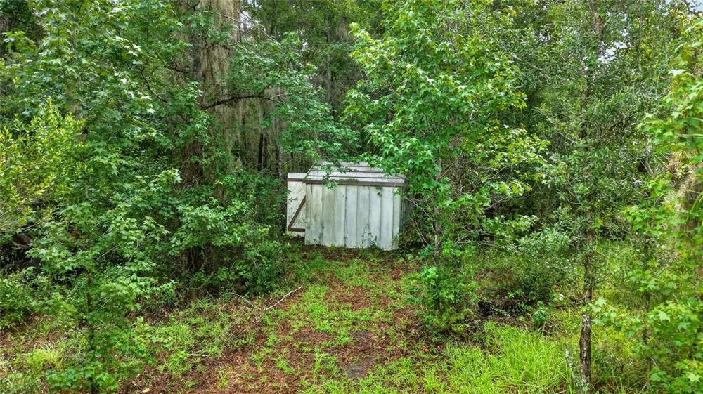 15958 W HWY 318 Williston, FL 32696