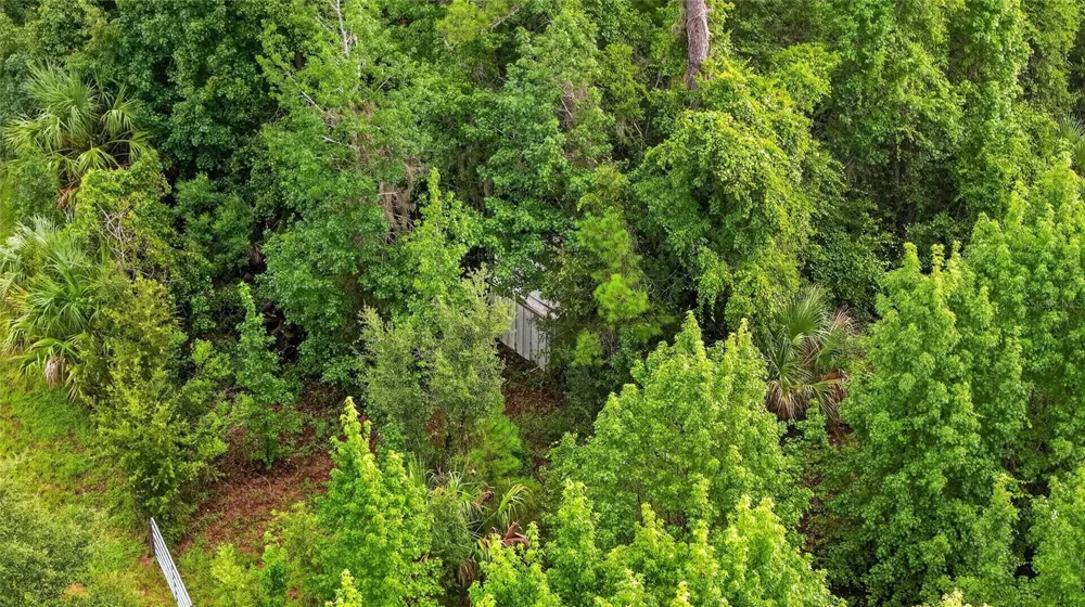 15958 W HWY 318 Williston, FL 32696
