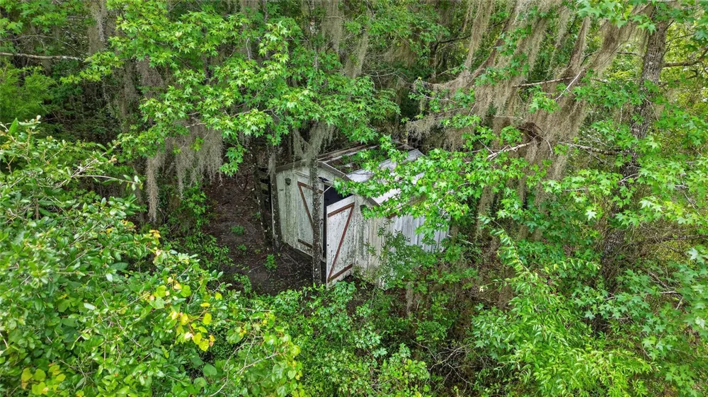 15958 W HWY 318 Williston, FL 32696