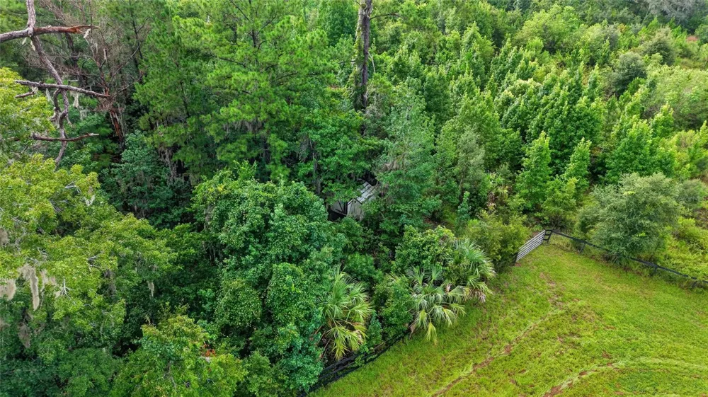15958 W HWY 318 Williston, FL 32696