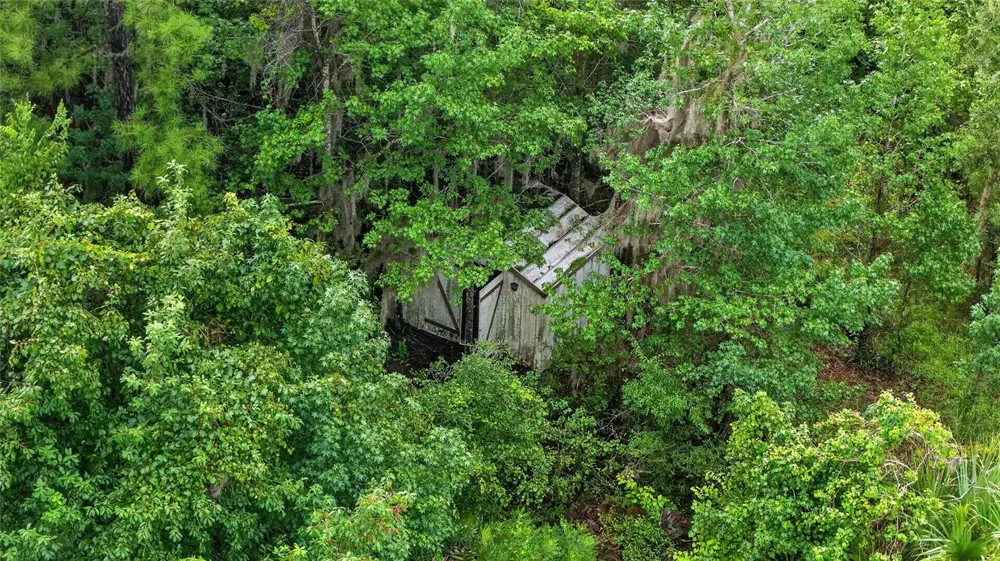 15958 W HWY 318 Williston, FL 32696