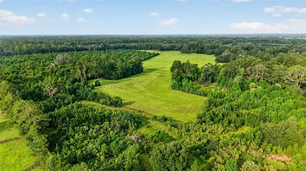 15958 W HWY 318 Williston, FL 32696