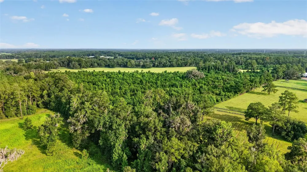 15958 W HWY 318 Williston, FL 32696