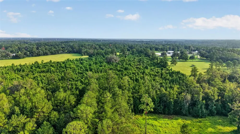 15958 W HWY 318 Williston, FL 32696