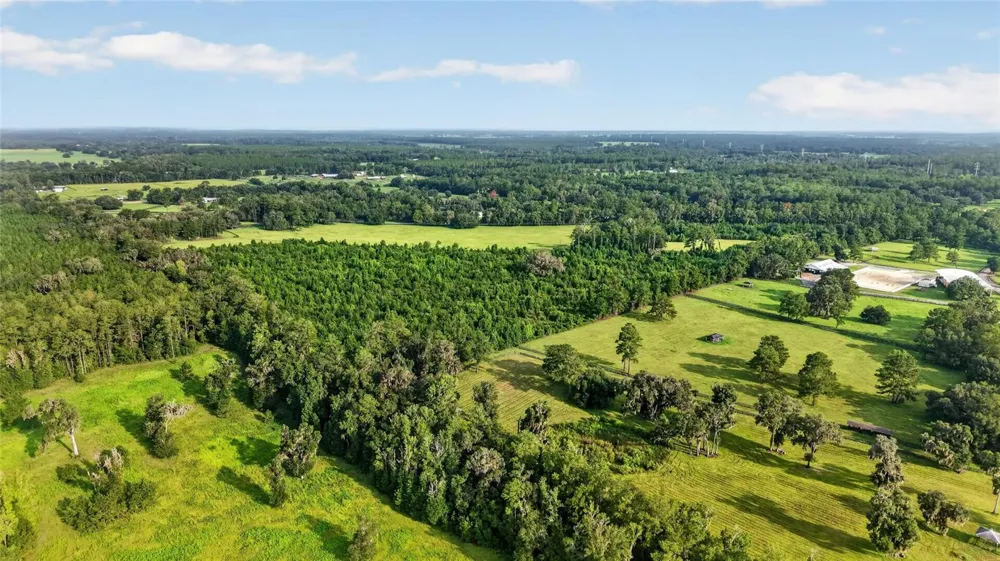 15958 W HWY 318 Williston, FL 32696