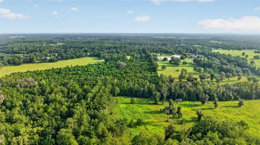 15958 W HWY 318 Williston, FL 32696