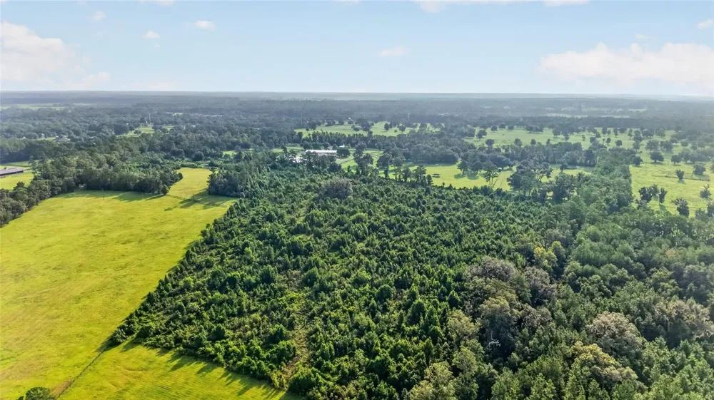 15958 W HWY 318 Williston, FL 32696