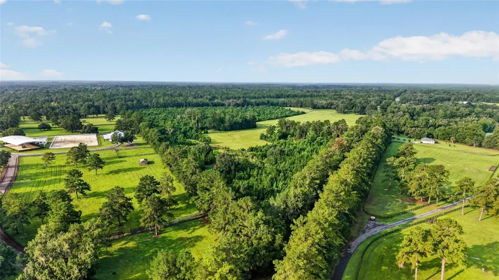 15958 W HWY 318 Williston, FL 32696