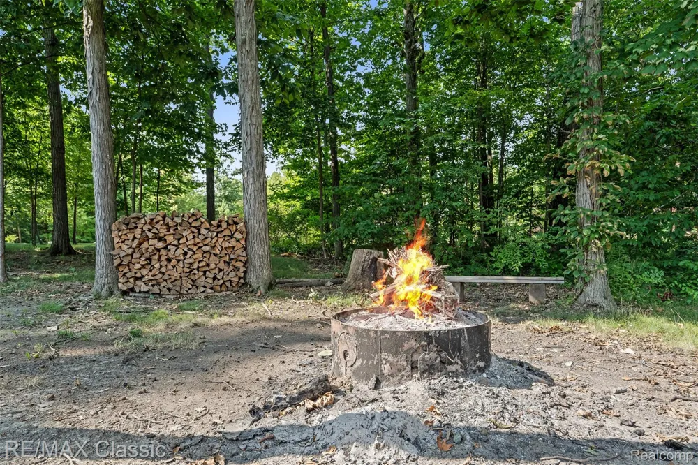 4489 Clara Louise Ct Saline Township, MI 48176
