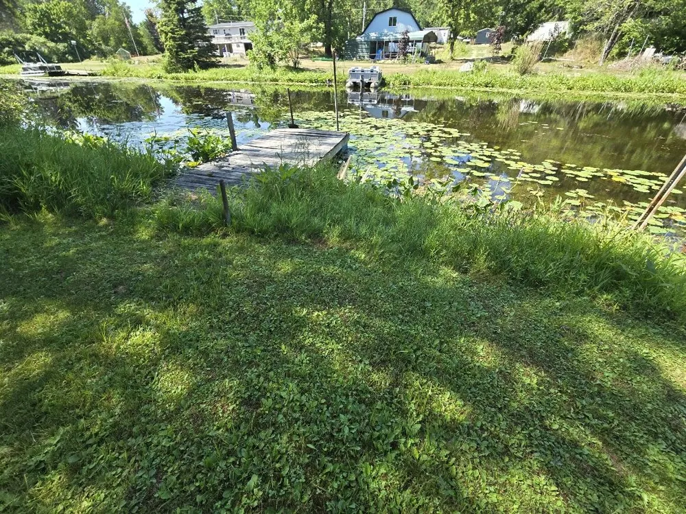 17923 2nd Street Martiny Township, MI 49305
