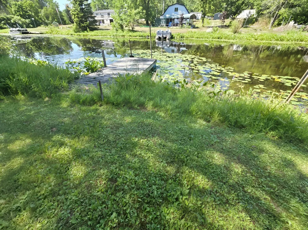 17923 2nd Street Martiny Township, MI 49305