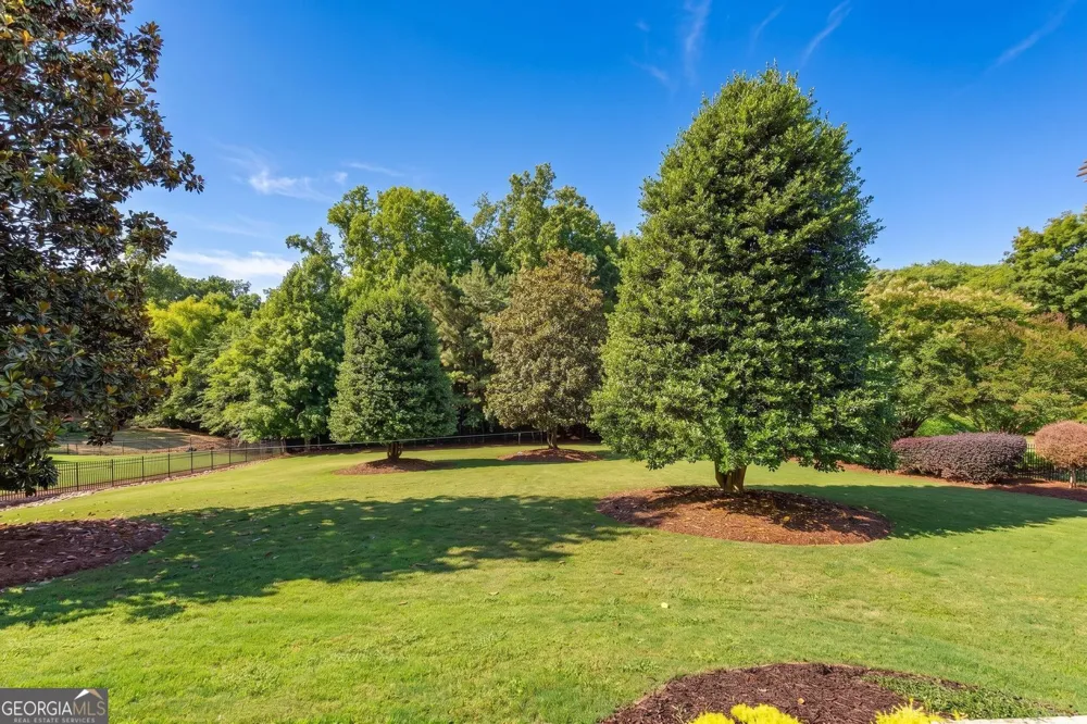 15838 Winterfield WAY Milton, GA 30004