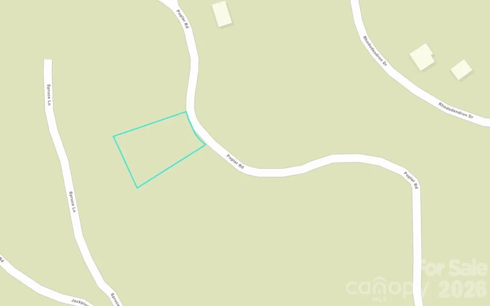 237 Poplar Drive Beech Mountain, NC 28604