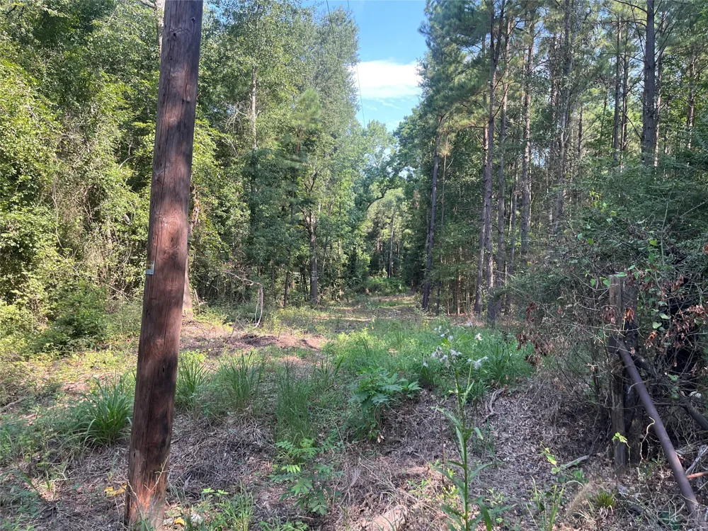 County Road 3303 Jacksonville, TX 75766