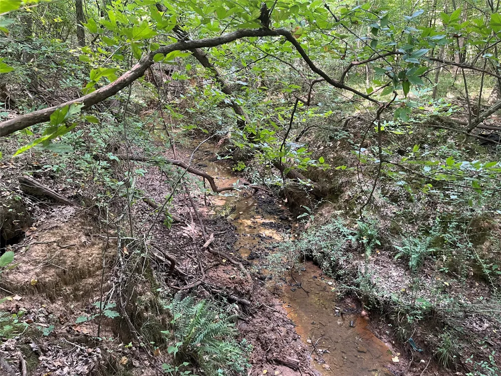 County Road 3303 Jacksonville, TX 75766