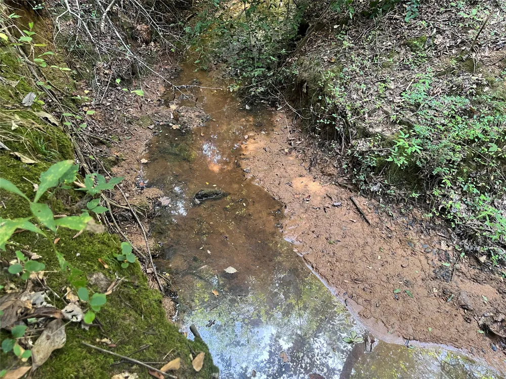 County Road 3303 Jacksonville, TX 75766