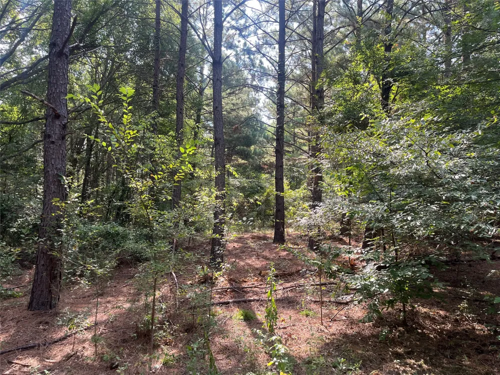 County Road 3303 Jacksonville, TX 75766