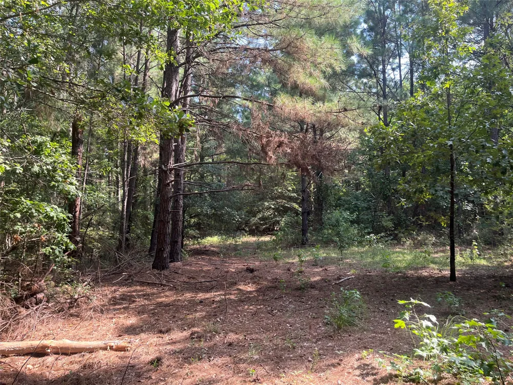 County Road 3303 Jacksonville, TX 75766