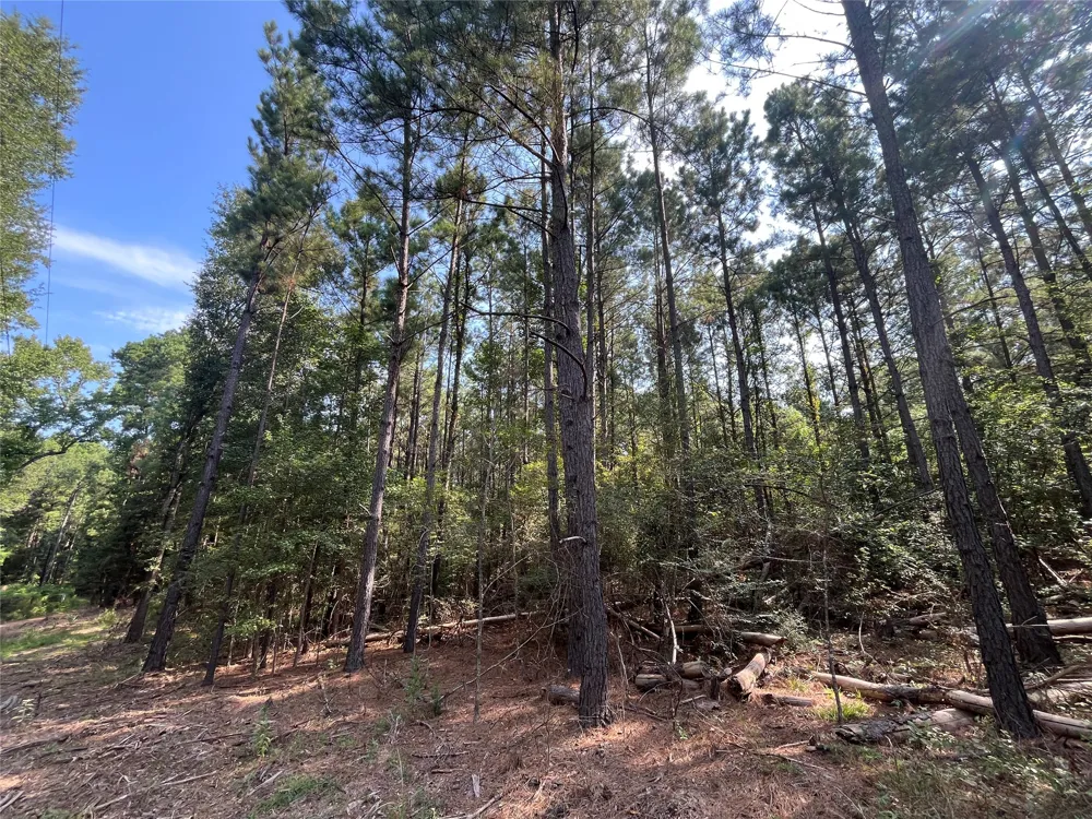County Road 3303 Jacksonville, TX 75766