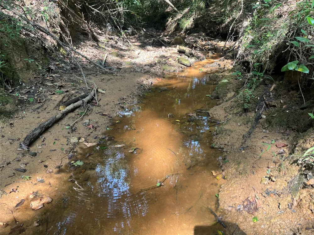 County Road 3303 Jacksonville, TX 75766