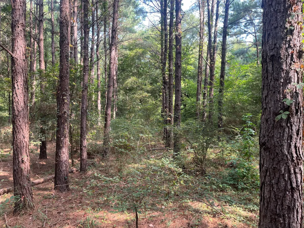 County Road 3303 Jacksonville, TX 75766