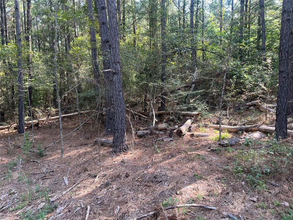 County Road 3303 Jacksonville, TX 75766