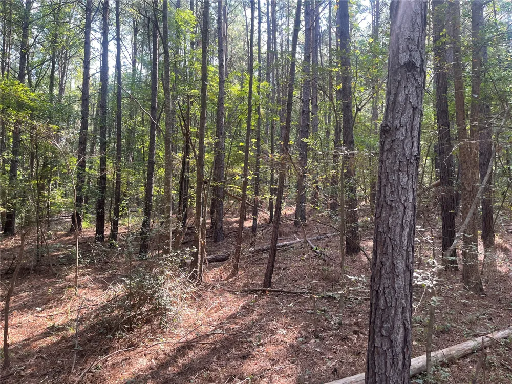 County Road 3303 Jacksonville, TX 75766