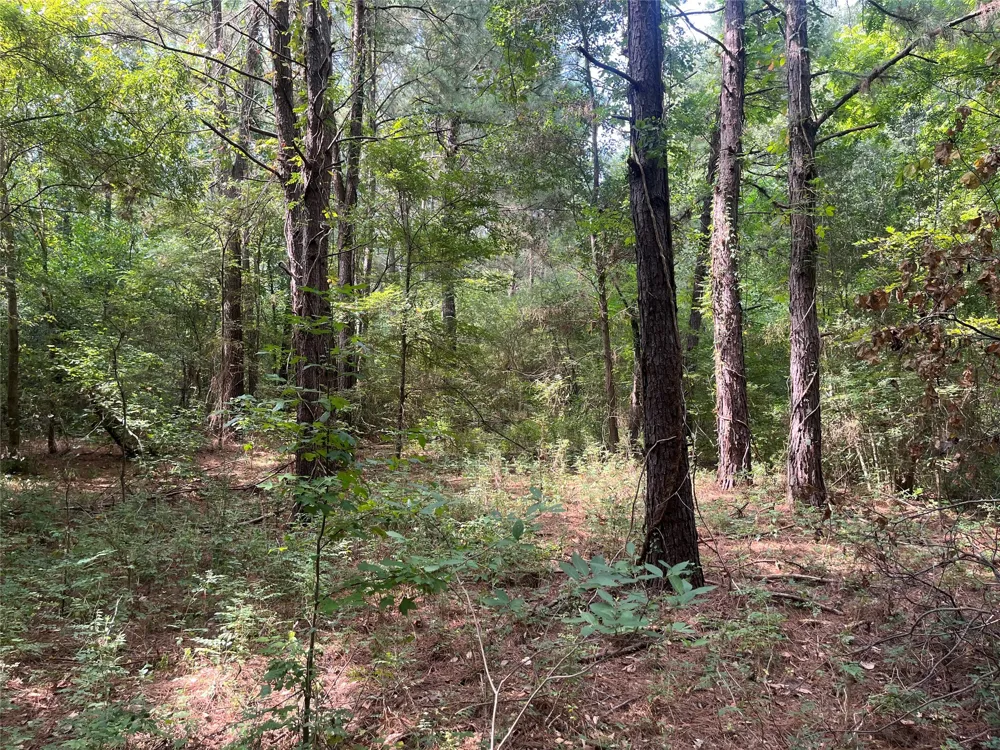 County Road 3303 Jacksonville, TX 75766