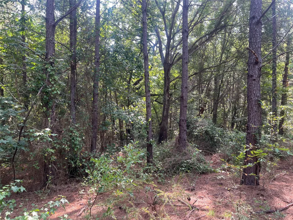 County Road 3303 Jacksonville, TX 75766