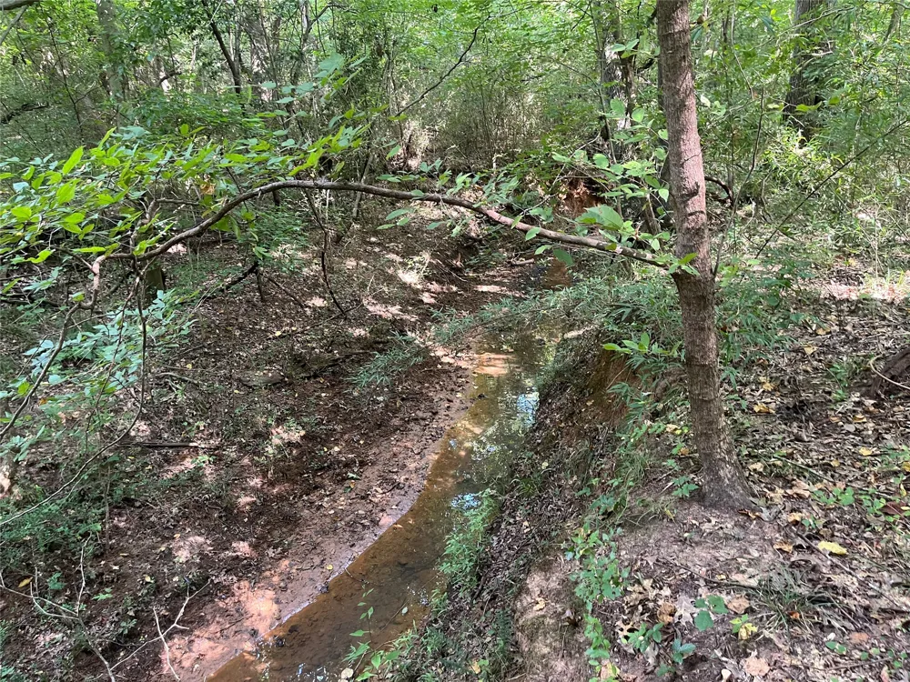 County Road 3303 Jacksonville, TX 75766