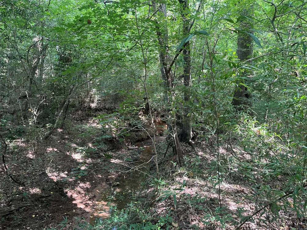 County Road 3303 Jacksonville, TX 75766