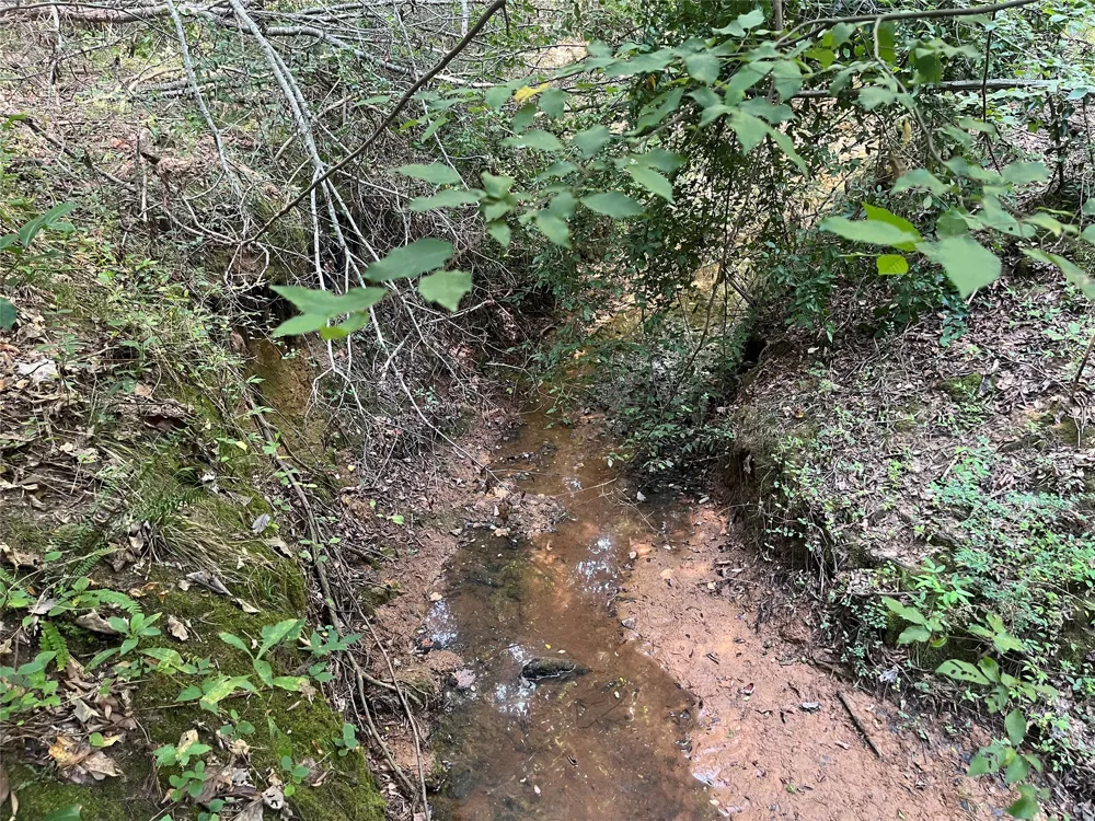 County Road 3303 Jacksonville, TX 75766