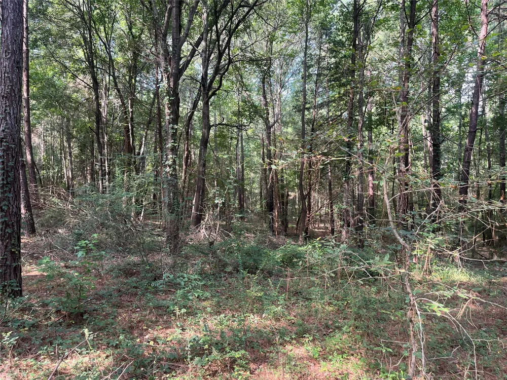 County Road 3303 Jacksonville, TX 75766