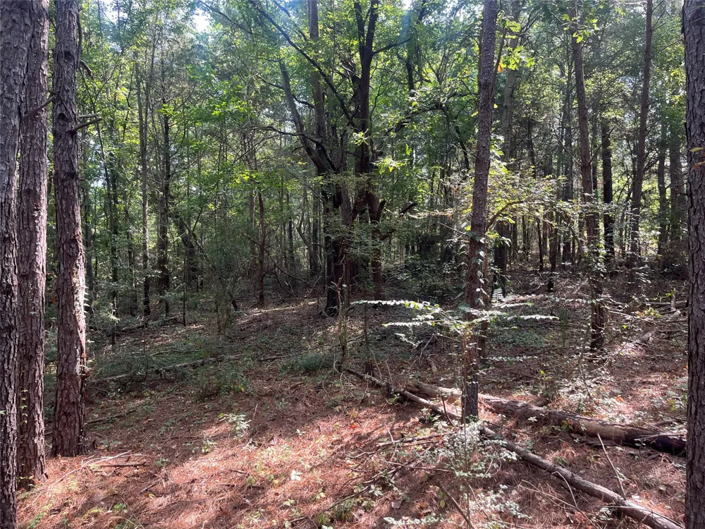County Road 3303 Jacksonville, TX 75766