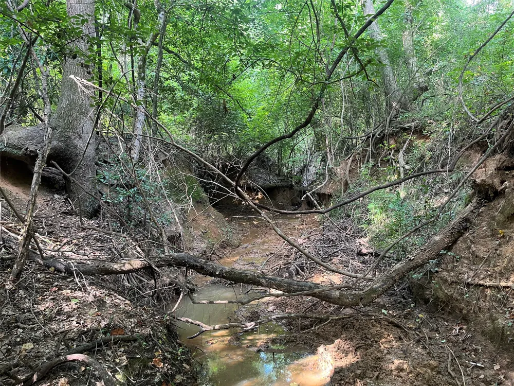 County Road 3303 Jacksonville, TX 75766
