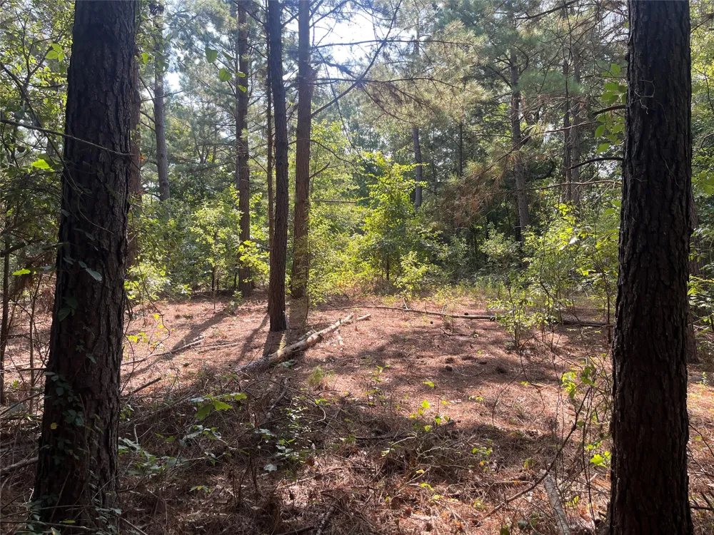 County Road 3303 Jacksonville, TX 75766