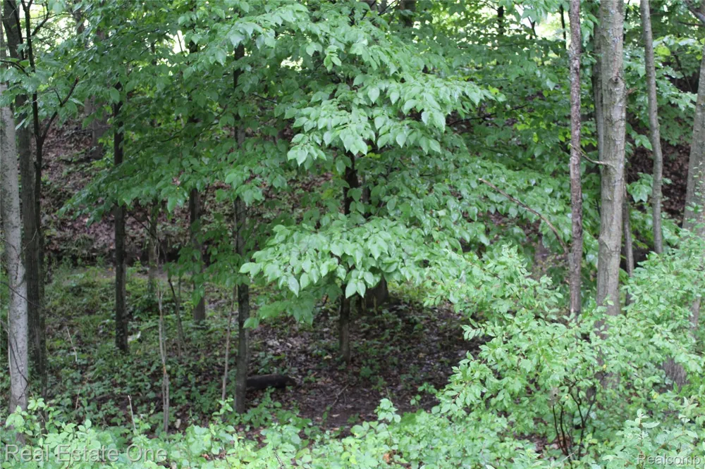 149 Greensboro Way Butman Township, MI 48624
