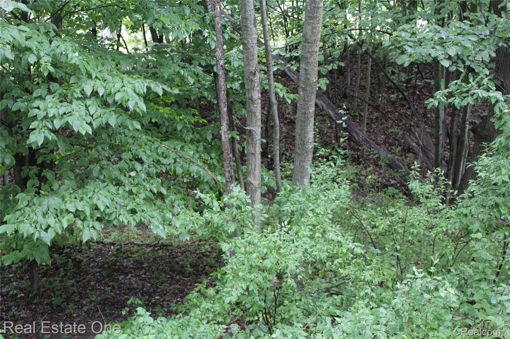 149 Greensboro Way Butman Township, MI 48624
