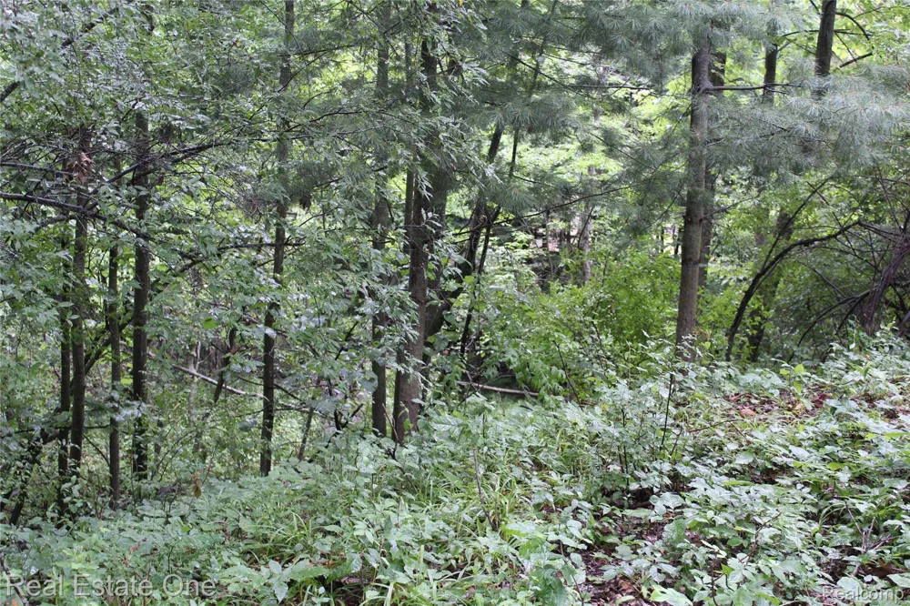 149 Greensboro Way Butman Township, MI 48624