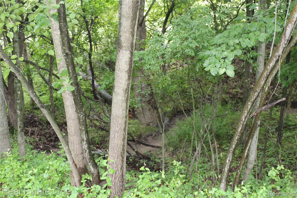 149 Greensboro Way Butman Township, MI 48624