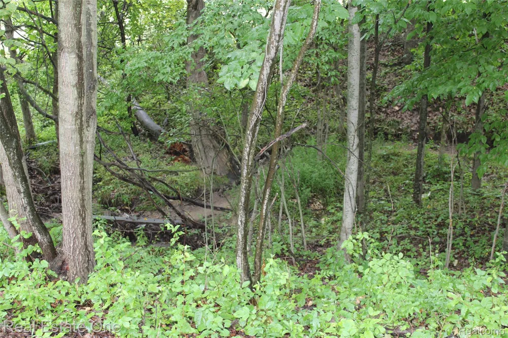 149 Greensboro Way Butman Township, MI 48624
